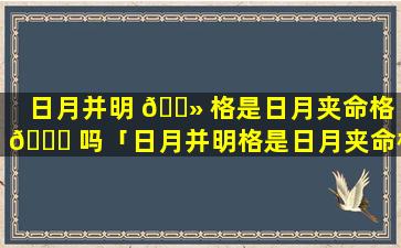 日月并明 🌻 格是日月夹命格 🐕 吗「日月并明格是日月夹命格吗为什么」